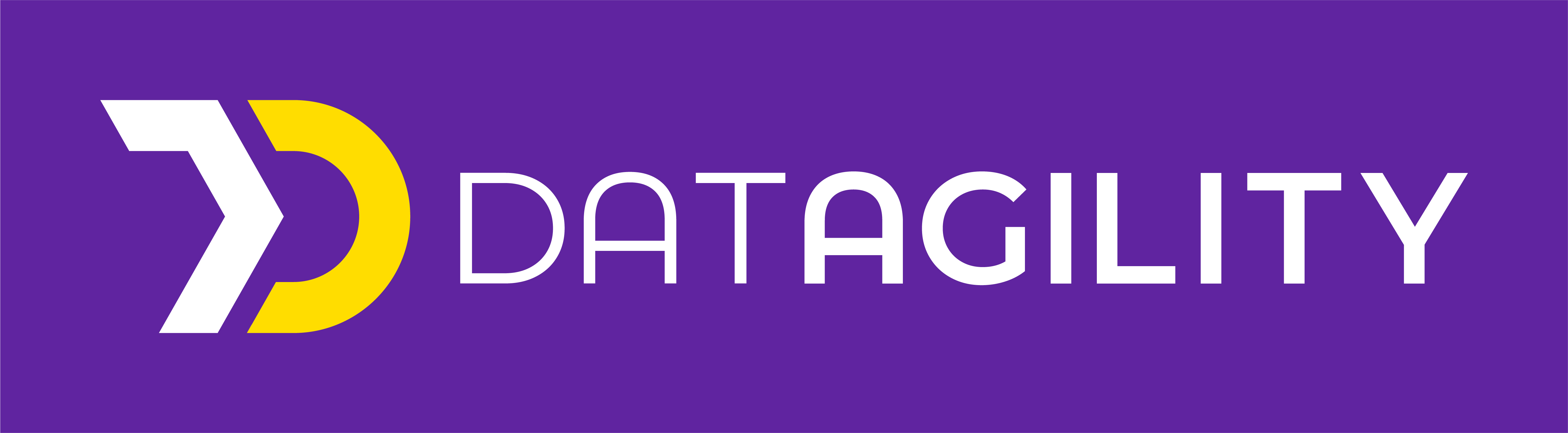 Datagility Logo